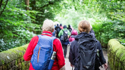 Two people walking together through woodland wearing back packs. There is a group of people in front of them in the distance.